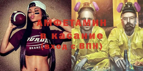 винт Абаза
