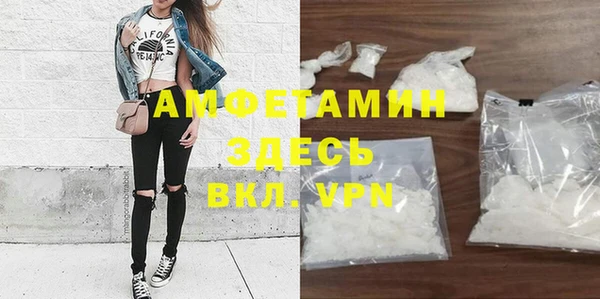 винт Абаза