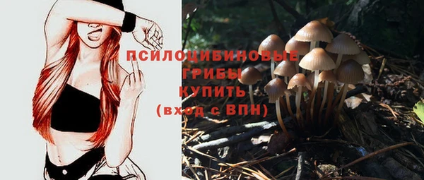 эйфоретик Алзамай