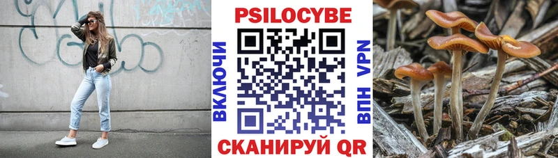 хочу   KRAKEN вход  Псилоцибиновые грибы Psilocybine cubensis  Трубчевск 